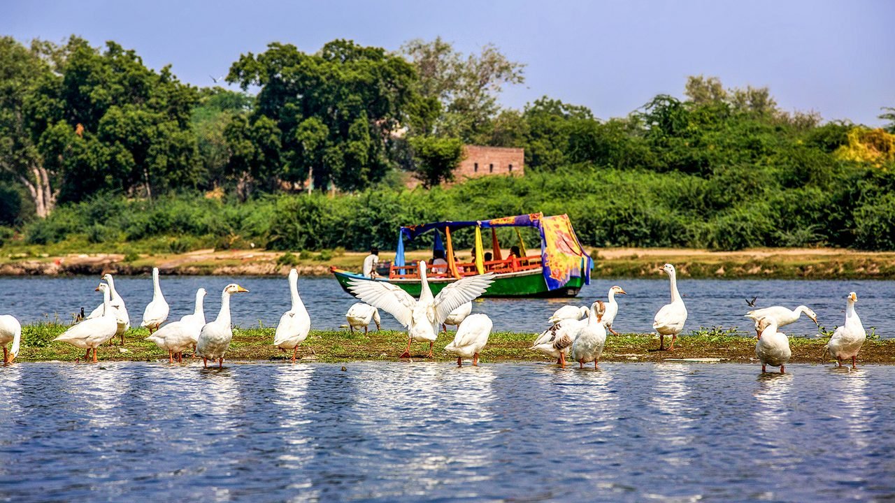 Mathura fix package (GIT) photo